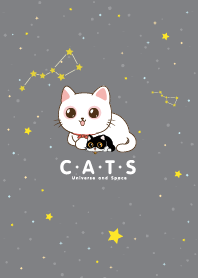 Cats Universe Silver