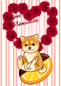 love mame shiba dog and sweets