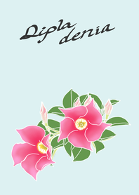 Dipladenia