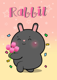 Little Black Rabbit  In Pastel Theme