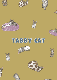 tabbycat1 / ginger