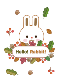 Hello! cute Rabbit!