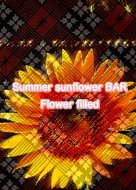 Summer sunflower BAR Flower filled