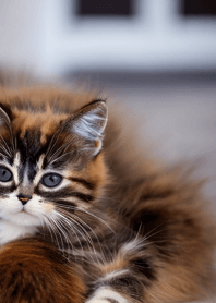 Nyanko Great Runaway#bbjam1928.