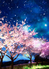 Beautiful night cherry blossoms#626