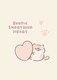 simple exotic short hair heart beige.