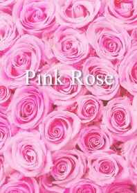 "Pink Rose vol.7" theme