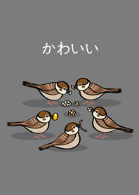 雀食可愛(霧灰色)