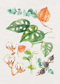 houseplant