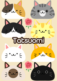 Tatsuomi Scandinavian cute cat3
