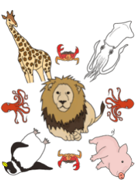 Cool creatures are gathering