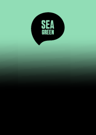 Black & Sea Green Theme Vr7 (JP)