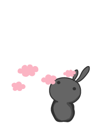 staring with staring .pink