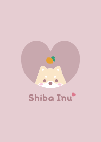 Shiba Inu2 Lemon - pink