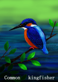 Common kingfisher
