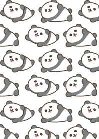 cute little black and white panda