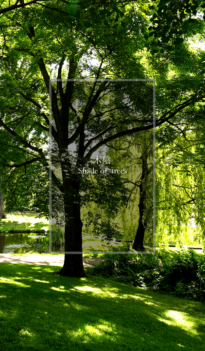 The Shade of trees