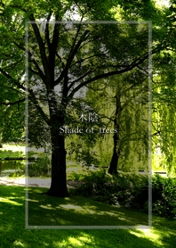 木陰－The Shade of trees
