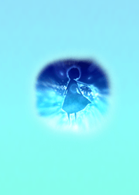 Fairy Empire Light Blue