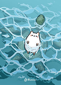 海洋系列 | 海龜