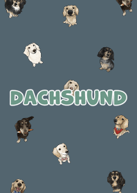 dachshund6 - dark steel blue