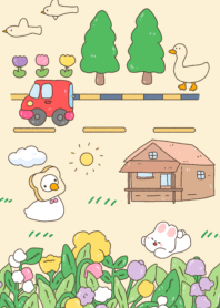 Car duck