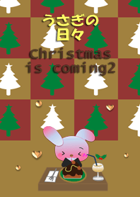 Rabbit daily<Christmas is coming2>