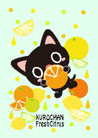 ていねいなくろねこちゃんの夏の日2#fresh