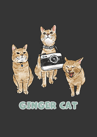 gingercat2 / carbon