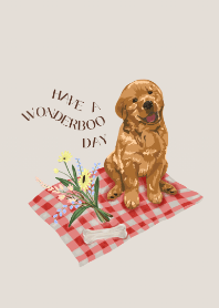 Have a wonderboo day
