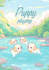 puppy gang in the pool_2