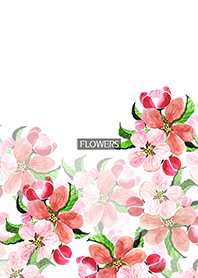 water color flowers_601
