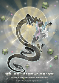 健康と家庭円満を呼び込む黒龍と宝珠