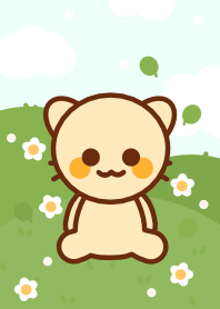 Cute orange cat 13 :)