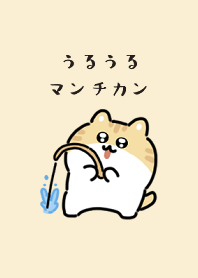移動芒奇金2