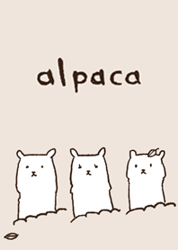 そっとのぞくアルパカ