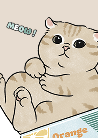neko single19 / almond