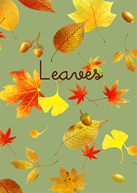 Fallen leaves -Autumn forest-