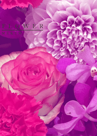 PURPLE FLOWER 4 -SUMMER-