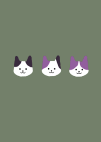 cat /bull green/bull purple
