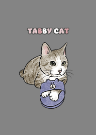 tabbycat6 / dark grey