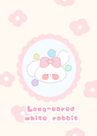 Long-eared white rabbit