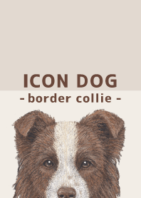 ICON DOG - ボーダーコリー - BROWN/02