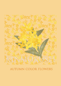 Osmanthus Flower Fragrance Theme