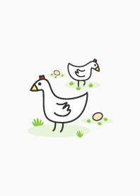 chicken chick