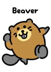 Cute beaver Theme