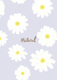 White Marguerite Simple7 from Japan