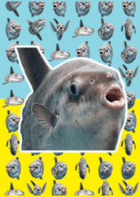 Ação ao vivo de peixe-lua Water