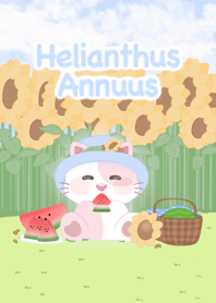 Helianthus Annuus ._.
