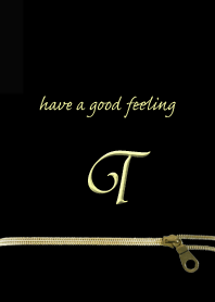 大人かわいい ジッパー イニシャル for T